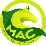 My Website